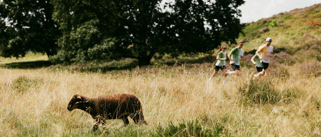 Sustainability in Sportswear: Our Approach at Pika Wear