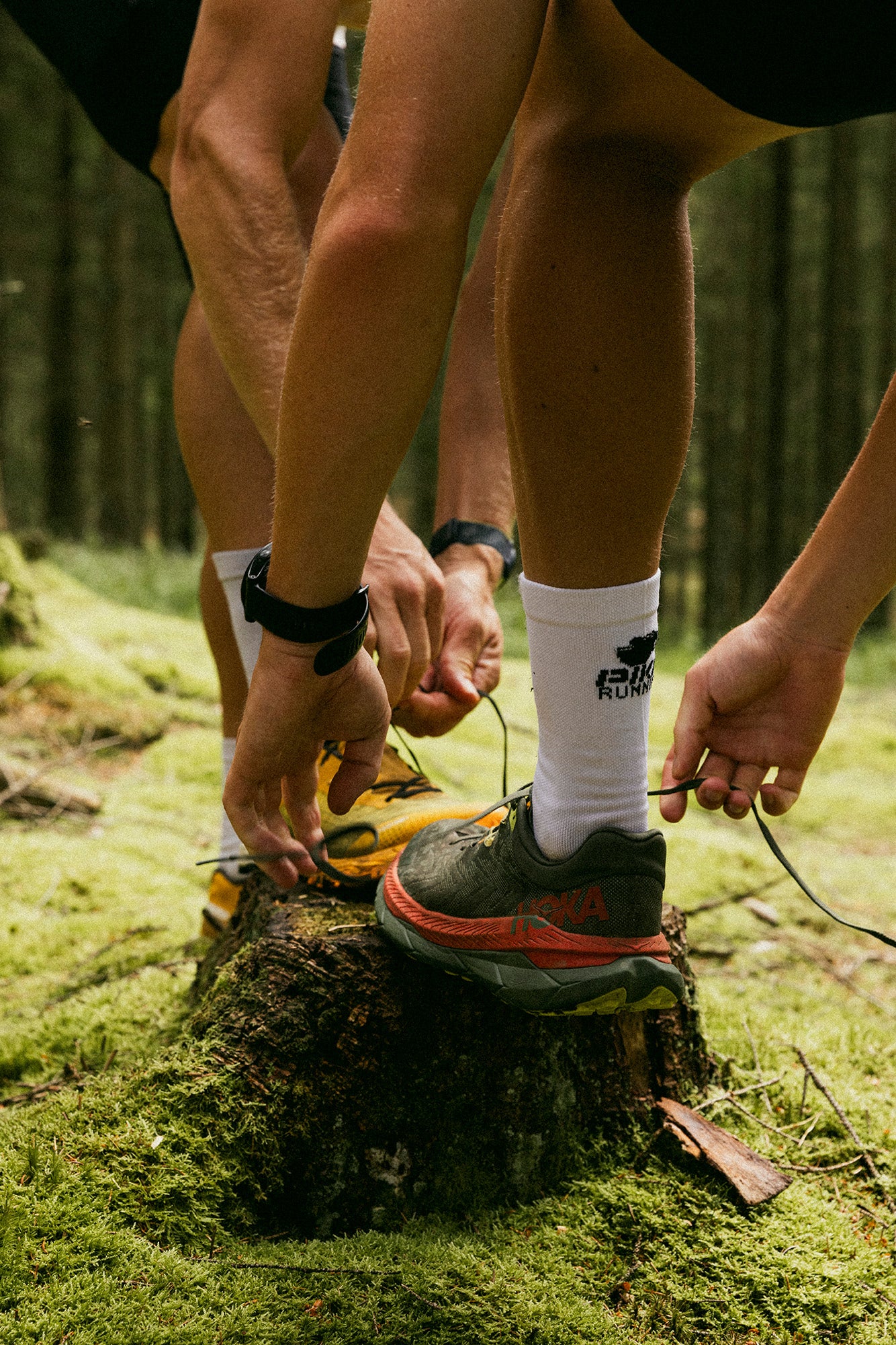 Pika Running Crew Socks (3-pairs)